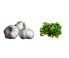 Garlic and Cilantro|Ail et coriandre