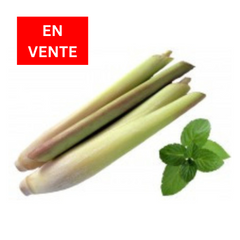 Lemongrass and Mint *SALE*|Citronnelle et menthe *EN VENTE*