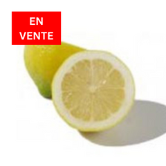 Lemon Balsamic *SALE* |Citron Balsamique *EN VENTE*