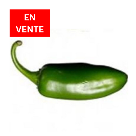 Jalapeño|Jalapeño