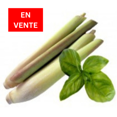 Basil and Lemongrass Olive Oil *SALE* |Basilic et citronnelle *EN VENTE*