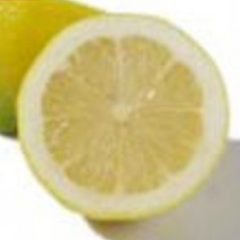 Meyer Lemon |Citron Meyer