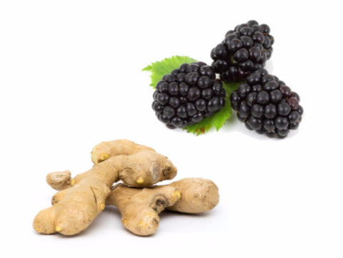 Blackberry Ginger|Mûres et gingembre