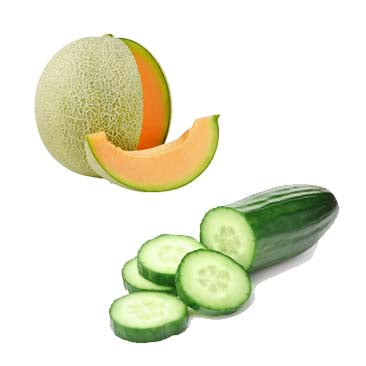 Cucumber Melon|Concombre et melon
