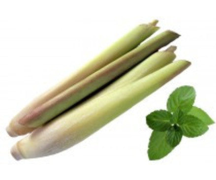 Lemongrass and Mint|Citronnelle et menthe